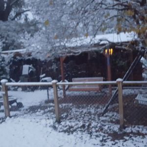 Meet your Posher, Lisha ray